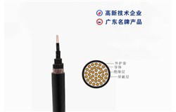 ZB-KVVP -450/750V ZB-KVVP -450/750V