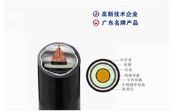 YJV62-26/35kV YJV62-26/35kV