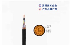 DJYVP -300/500V DJYVP -300/500V