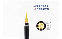 KVVP2-22-450/750V KVVP2-22-450/750V