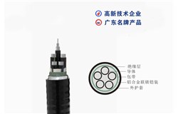 WDZ-YJXLHYLK2-0.6/1kV WDZ-YJXLHYLK2-0.6/1kV