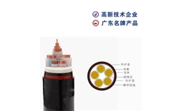 ZC-YJV 0.6/1kV ZC-YJV 0.6/1kV