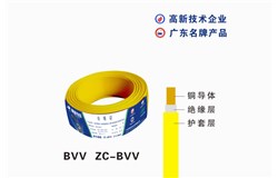 BVV ZC-BVV BVV ZC-BVV