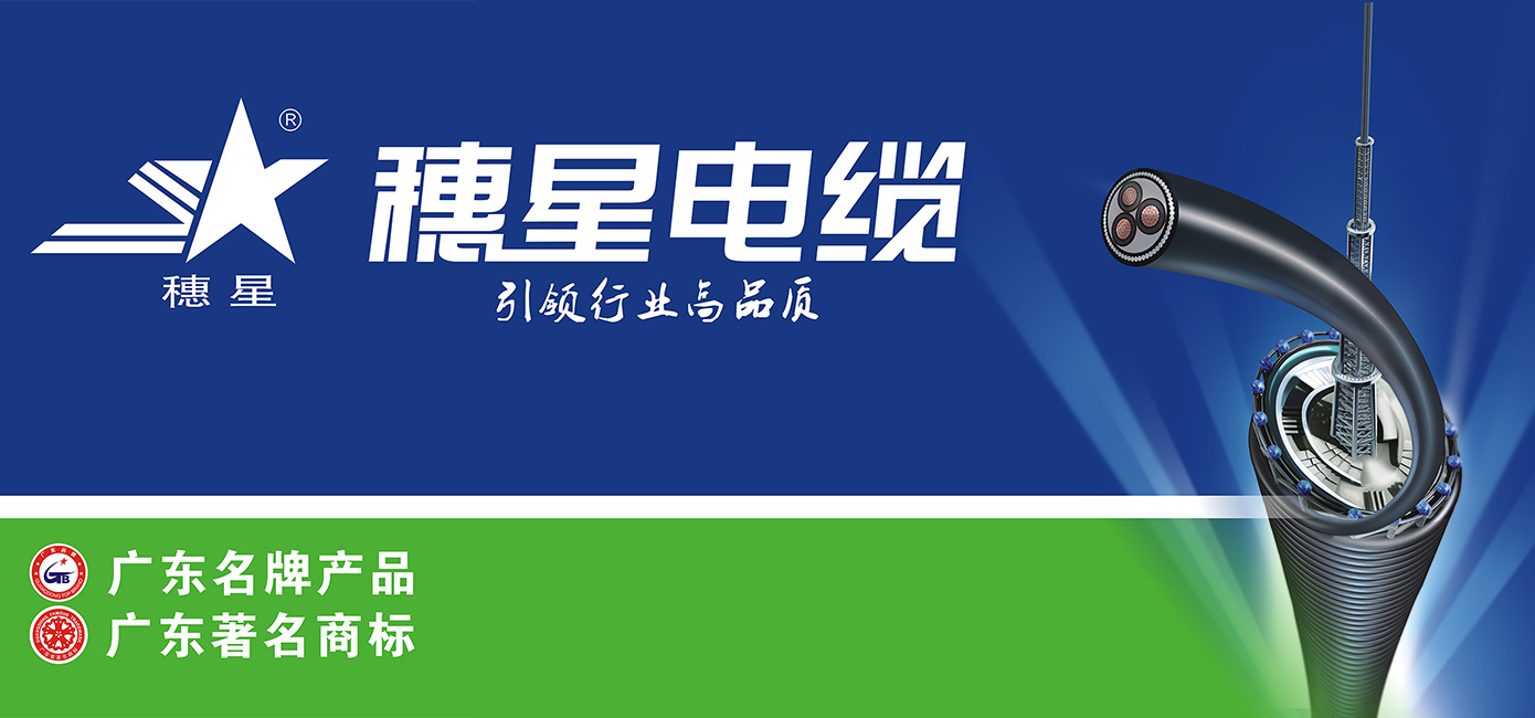 j9国际集团电缆再次荣获"广东省名牌产品"称号 j9国际集团电缆再次荣获"广东省名牌产品"称号